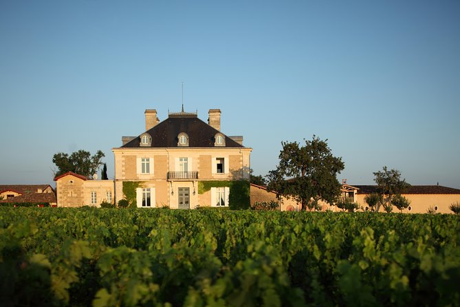 Private Wine Tour From Bordeaux in the Graves Region - Private Transportation
