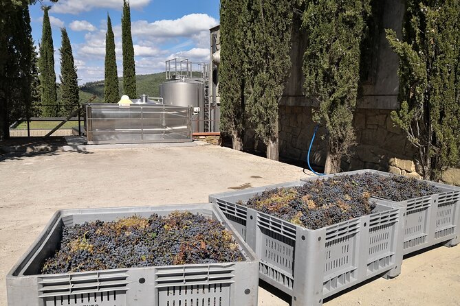 PRIVATE WINE TOURS VIP Wines and Wineries of Chianti Classico - Tour Highlights