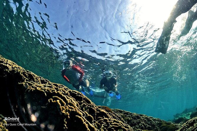 PROFESSIONAL SNORKELING to Explore Hidden Coral Spots (MAX 9 PAX) - Traveler Photos and Reviews