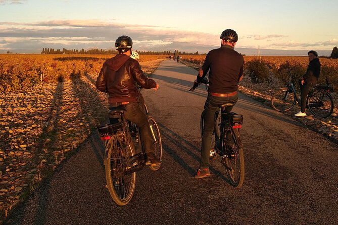 Provence and Wine Tasting by E-Bike From Bonnieux - Maximizing Time With E-Bike Battery