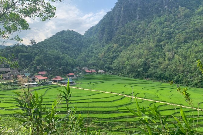 Pu Luong - Ninh Binh - Halong Bay 6 Days - Day 3: Discovering the Beauty of Ninh Binh