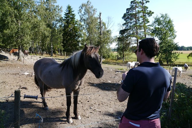 Public the Country and Swedish History Tour. - Must-Visit Landmarks in Sweden