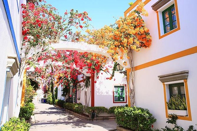 Puerto De Mogan and Canarian Market 6-Hour Guided Tour - Inclusions