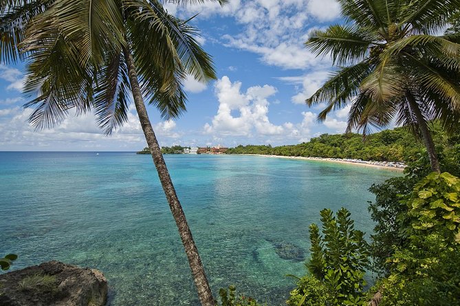 Puerto Plata Shore Excursion, Snorkeling Tour & Sosua Beach Day - Snorkel Guide and Ocean Life