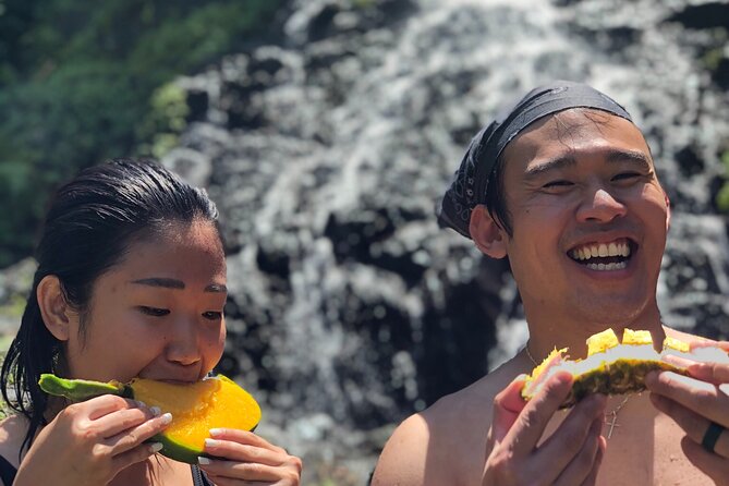 Puerto Rico: Small-Group Hiking Tour - Positive Reviews