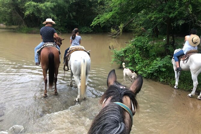 Puerto Vallarta Small-Group Horseback Riding Tour - Meeting and Pickup Information