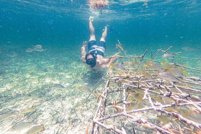Punta Cana Private Cruise up to 10 Snorkeling & Seafood Lunch - Seafood Lunch Prepared Onboard
