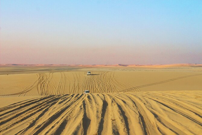 Qatar Gold Dune Safari, Dune Bashing,Camel Ride,Sand Boarding,Inland Sea Desert - Traveler Reviews and Feedback