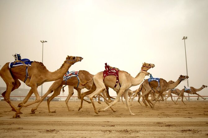 Qatar West Coast Tour to Richard Serra Sculpture and Mushroom Rock Formation - Tour Overview and Itinerary