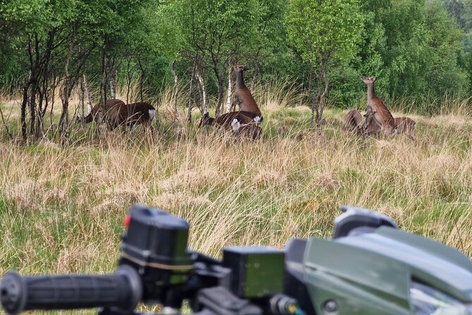 Quad Bike Private Tour in Achaderry Estate - Diverse Terrain and Stunning Views