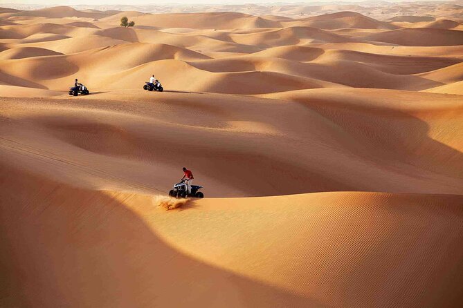 Quad Bike Tours Abu Dhabi - Popular Quad Bike Tour Routes