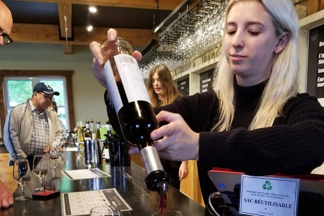 Quebec City :Ebikes Rental ,Wine,Chocolate,Berries and Landscape - Exploring Île Dorléans by Ebike