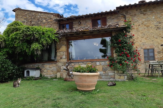 Ramble Through the Rolling Hills of Chianti" With Lunch & Wine Tastings - Questions and Product Information