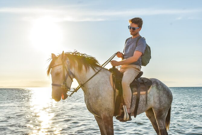 Ranch Farm Experience and Horseback Ride  - La Paz - Overview of the Experience