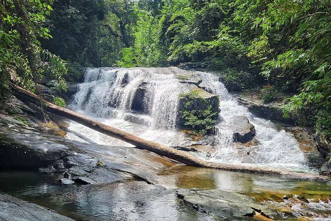 Rayong Adventure Full Day Trip From Pattaya - Traveler Reviews