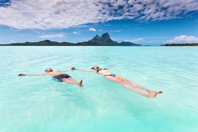Reef Discovery Half Day Group Signature Tour - Booking and Reservations