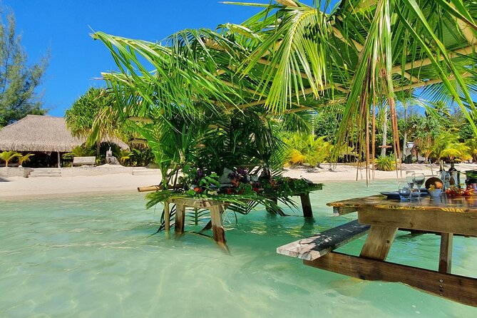 Reef Discovery Luxury Water Lunch Cruise - Cancellation Policy for the Cruise