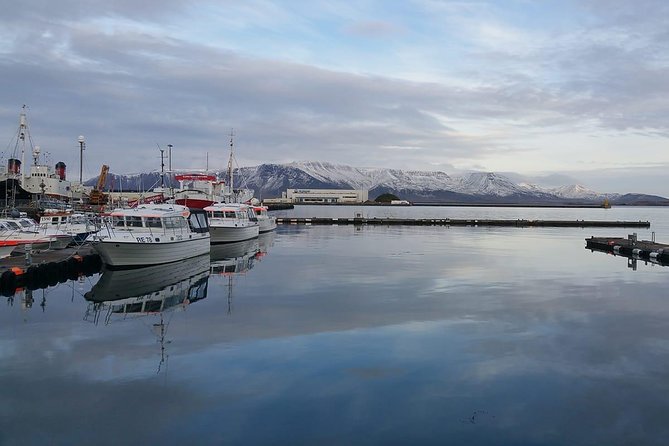 Reykjavik Main Sights and Hidden Spots: A Self-Guided Audio Walk - Historic Landmarks in the City Center