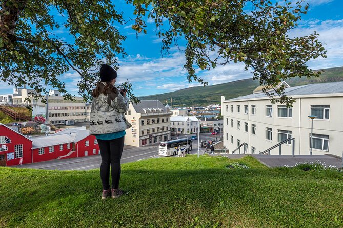 Reykjavik Private City Walking Tour - Key Landmarks