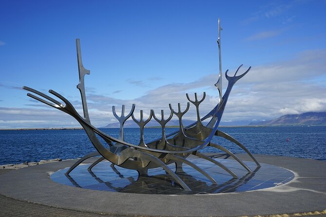 Reykjavik Private Walking Tour With A Professional Guide - Group Size and Accommodations
