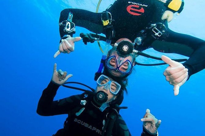 Rhodes Scuba Diving Experience - Overview of the Scuba Diving Experience