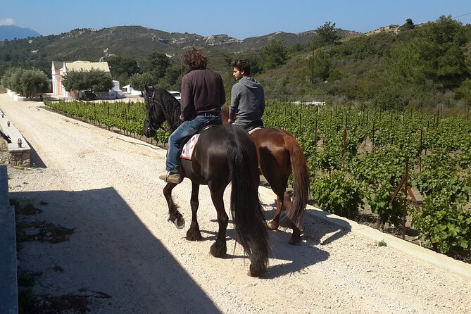 Rhodes Wine & Food Tour: 10 Meal Course Lunch, Wine Tasting, Cooking Class - Tour Overview