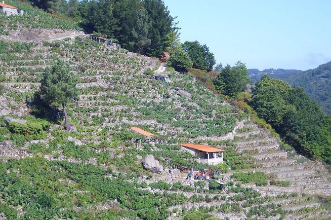 Ribeira Sacra From Lugo - Admiring the Breathtaking River Canyons