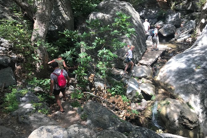 Richtis Waterfall, Minoan History, Oldest Tree, North Coast (Luxury Adventure) - Uncovering Minoan History