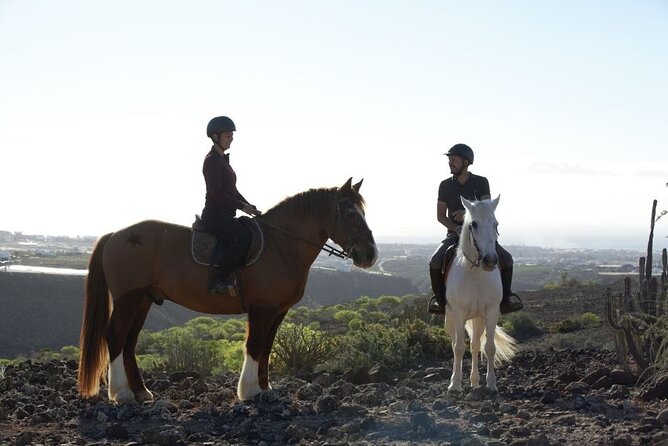 Riding 2 Hours Along the Maspalomas Route - Pricing Options