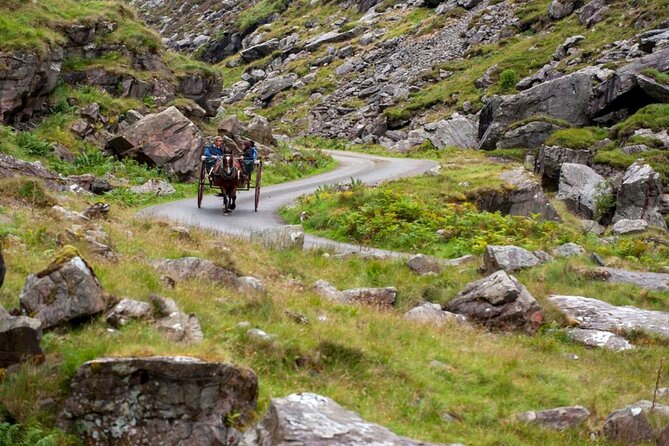 Ring of Kerry & Killarney Tour Departing From Cork City. Guided. Full Day. - Inclusions and Optional Add-ons