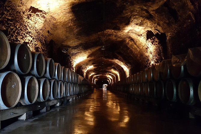 Rioja Full Experience Tour From San Sebastian With Lunch - Reviews From Travelers
