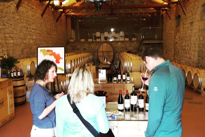 Riojas Top Wines Tasting Private Tour - Local Guide and Transportation