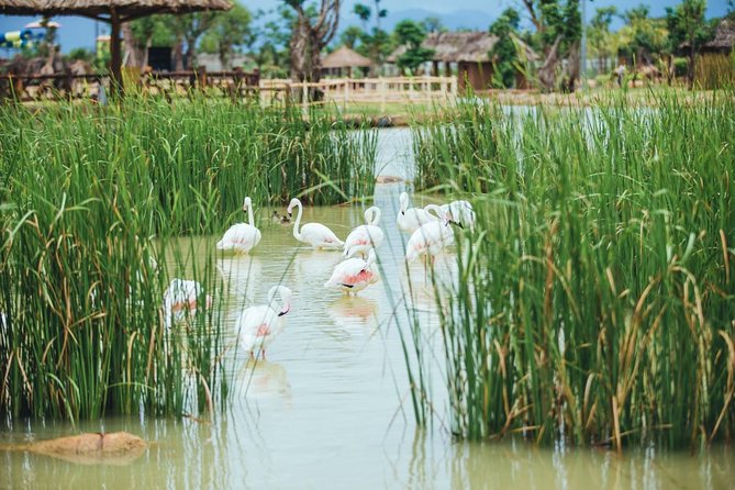 RIVER SAFARI WITH CANDLE-LIT BEACH DINNER From HOI an - Additional Information and Pickup Offered