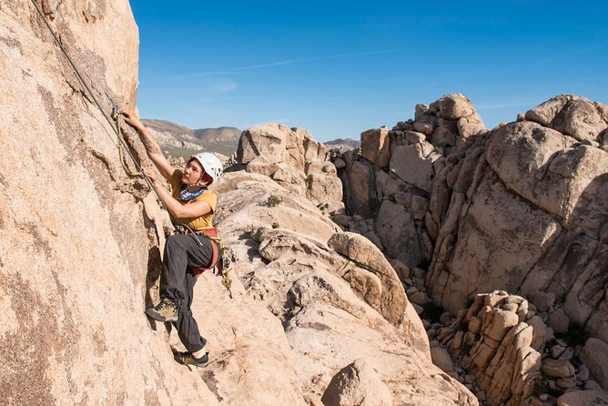 Rock Climbing Trips in Joshua Tree National Park (6 Hours) - Included Equipment and Safety Training