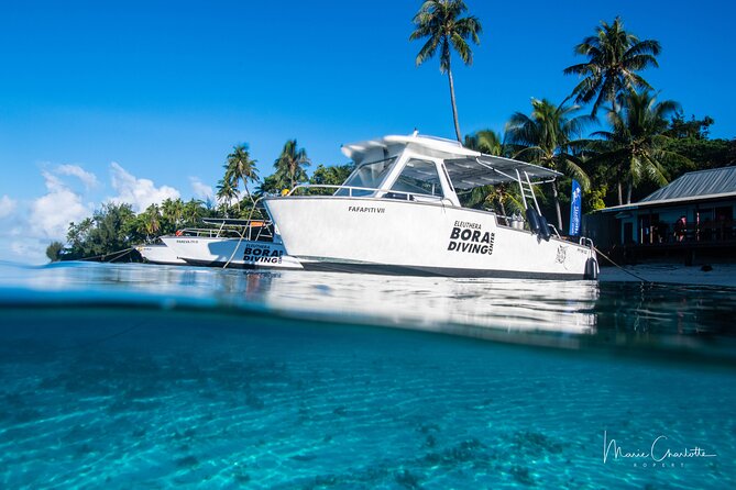 Romantic Dive for Beginners in Bora Bora (2 People) With Video - Cancellation Policy