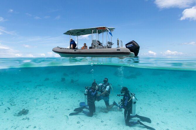 Romantic Dive in the Lagoon of Bora Bora. Private Instructor on a Shared Boat - Pricing and Additional Info
