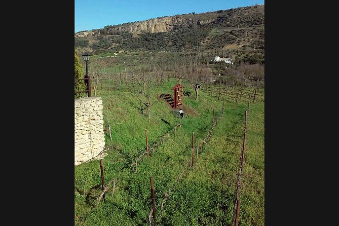 Ronda Organic Wine Tour From Marbella - Optional Activities and Add-Ons