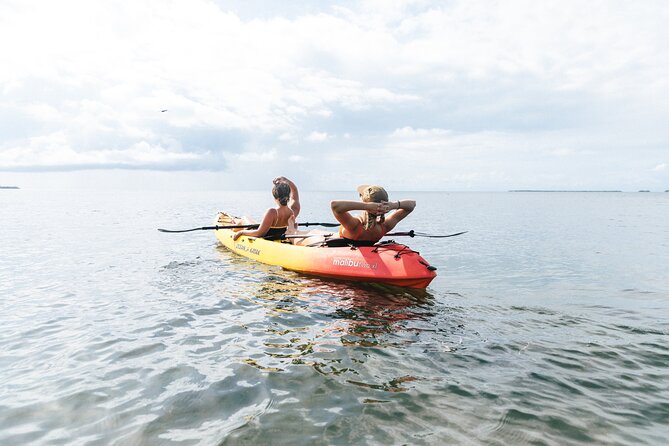Sail, Snorkel, Kayak, Dolphins, and Lunch With Honest Eco - End Point