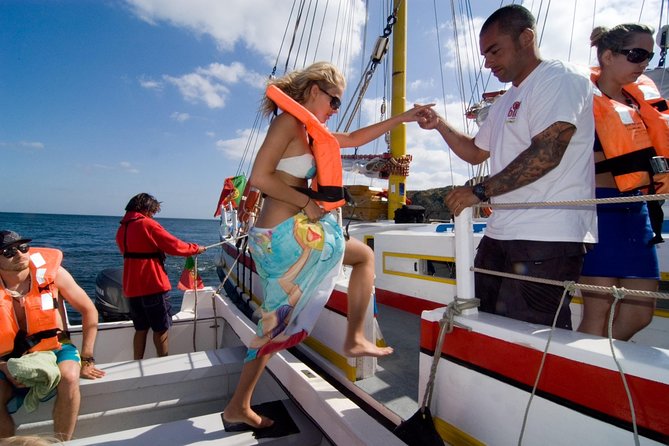 Sailing Cave Tour Ponta Da Piedade Lagos - What to Expect
