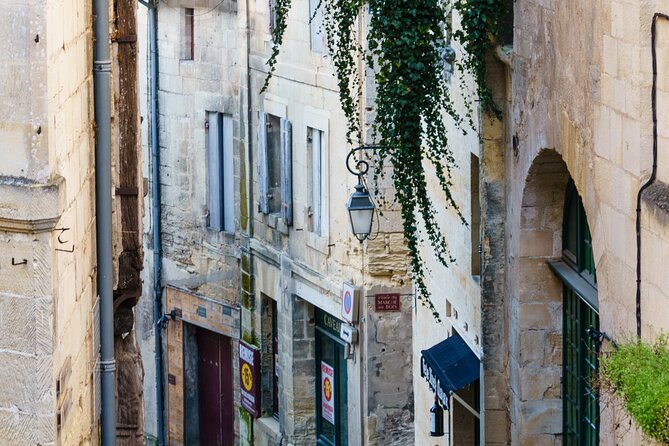 Saint-Emilion and Vineyard Walk With Wine Tasting - Wine Tasting: Discovering St Emilion Wines