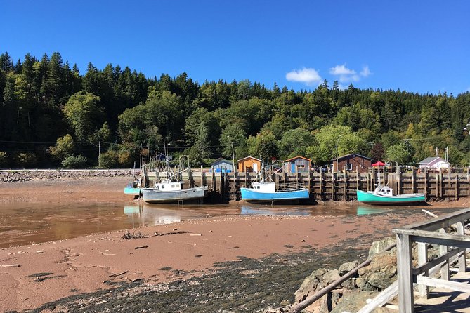 Saint John Cruise Ship Shore Tour to Bay of Fundy - Exploring the Historic Fort Howe