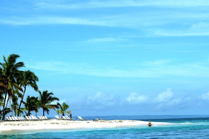 Samana Experience Day Trip - Pickup Location and Logistics