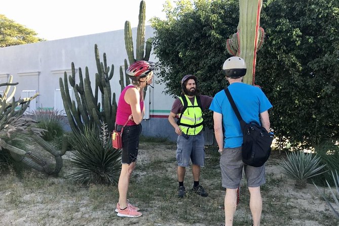 San José Del Cabo Small-Group Cycling Tour: Nature and City  - San Jose Del Cabo - Meeting Point and Start Time