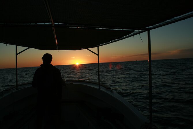 San Jose Del Cabo Small-Group Sunrise Whale Watching - Meeting Point and Transportation