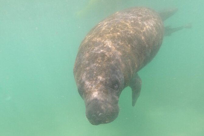 San Juan, Puerto Rico: Morning Glass-Bottom Kayak Tour - Directions