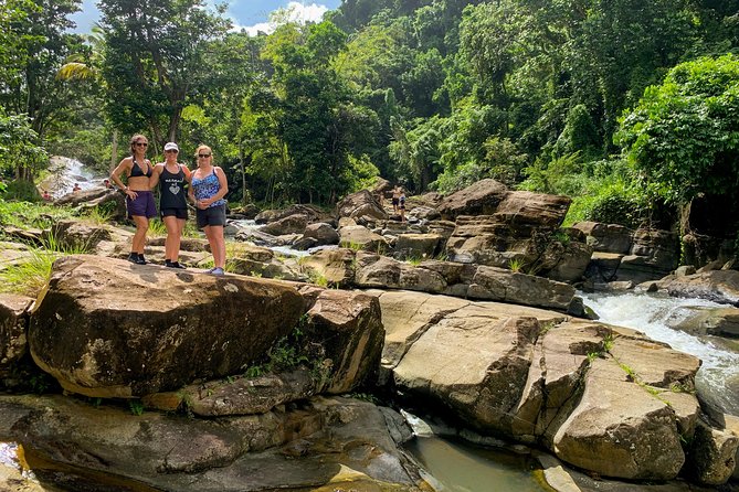 San Juan Small-Group Full-Day Nature Adventure - Swimming, Relaxing, and Exploring