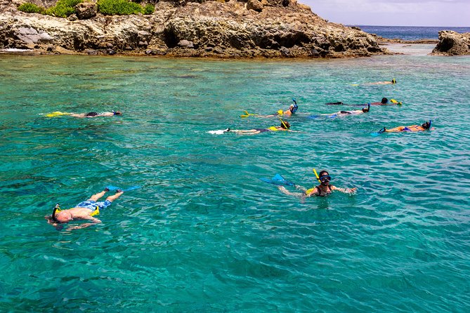 Sand Dollar Half Day Snorkel Trip
