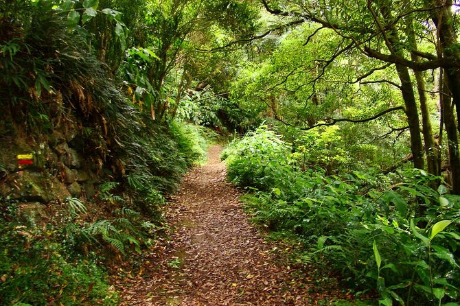 Sanguinho Hike From Ponta Delgada - Traveler Reviews and Ratings
