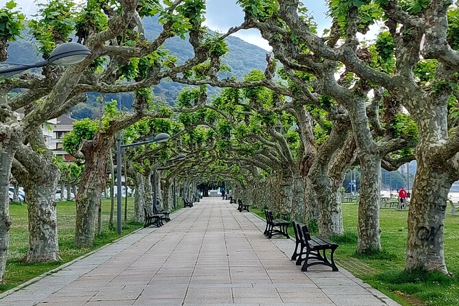 Santoña: Anchovy Factory & Boat Trip - Questions and Pricing Details