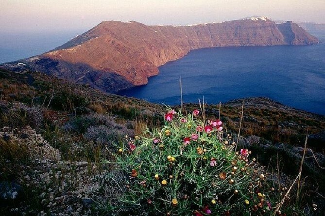 Santorini Caldera Walking Tour - Tour Details